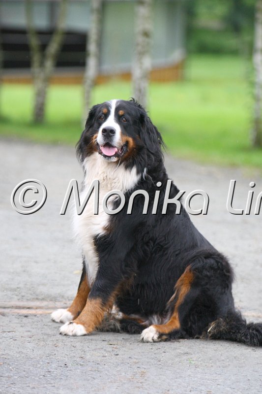 009M7967_Schletter Sabine.jpg